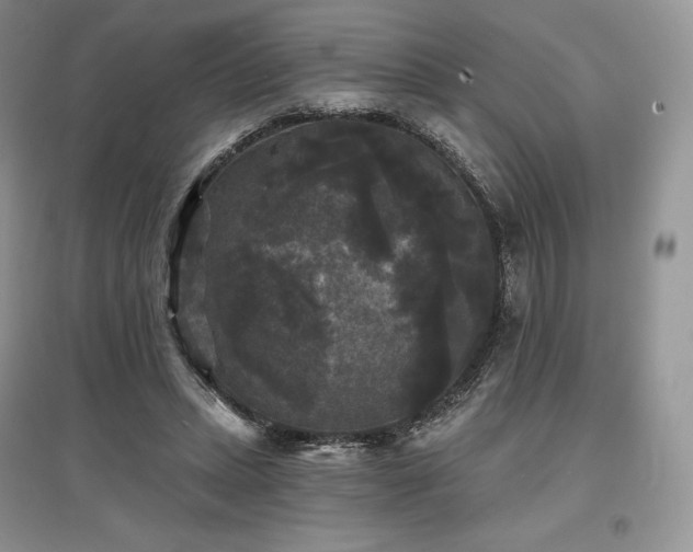 X0000097630447200803071534