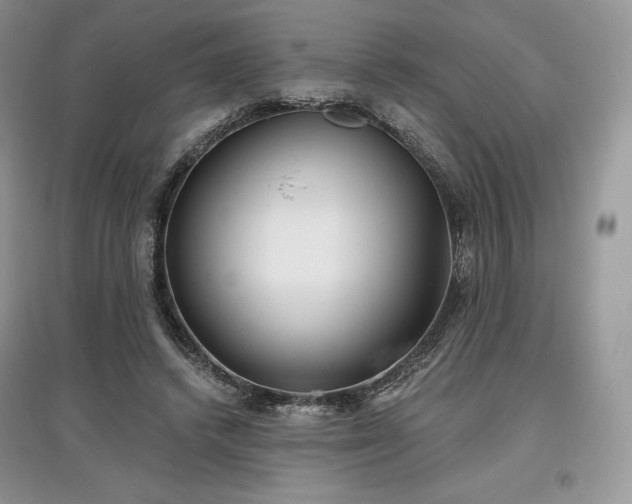 X0000097630448200803071534