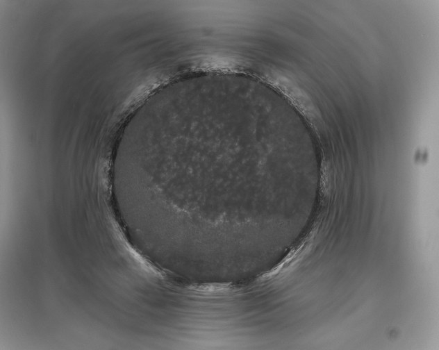 X0000097630449200803071534