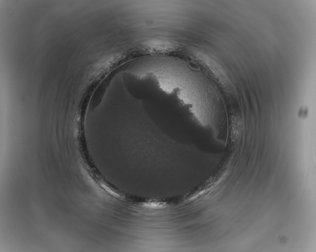 X0000097630451200803071534