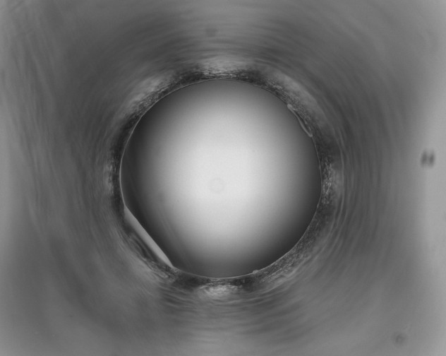 X0000097630452200803071534