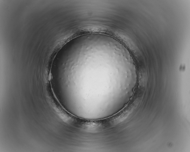 X0000097630453200803071534