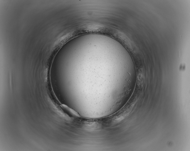 X0000097630454200803071534