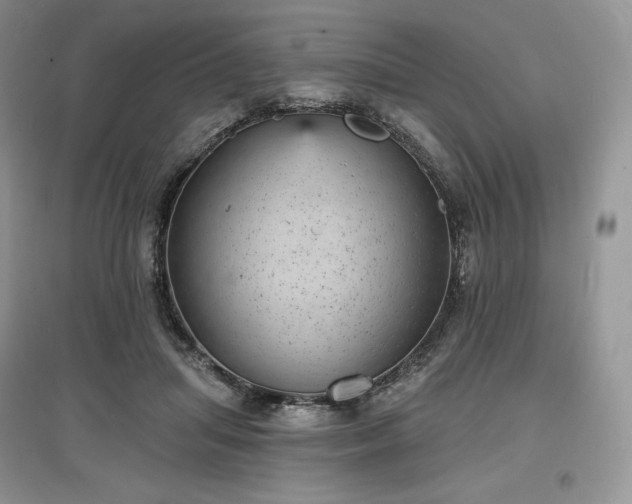 X0000097630455200803071534