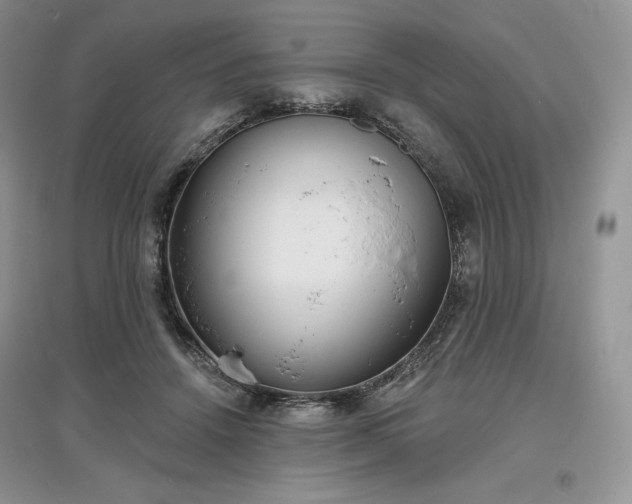 X0000097630456200803071534