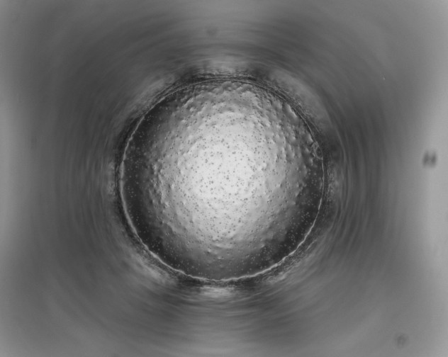 X0000097630457200803071534