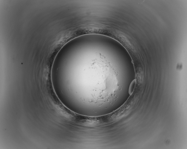 X0000097630458200803071534