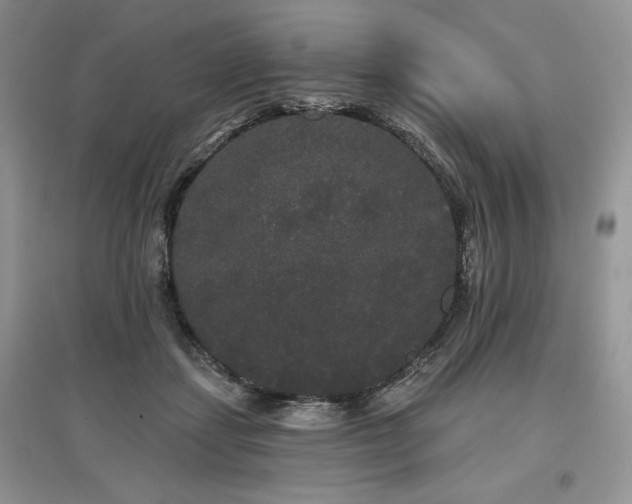 X0000097630459200803071534