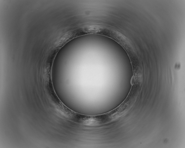 X0000097630460200803071534