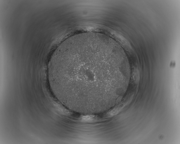 X0000097630461200803071534