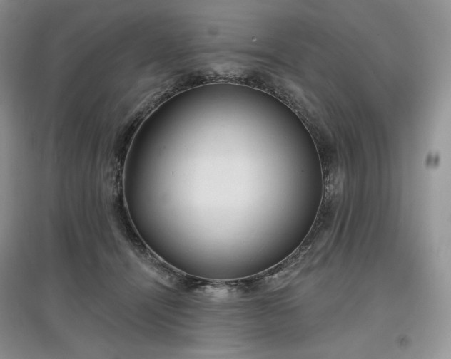 X0000097630464200803071534