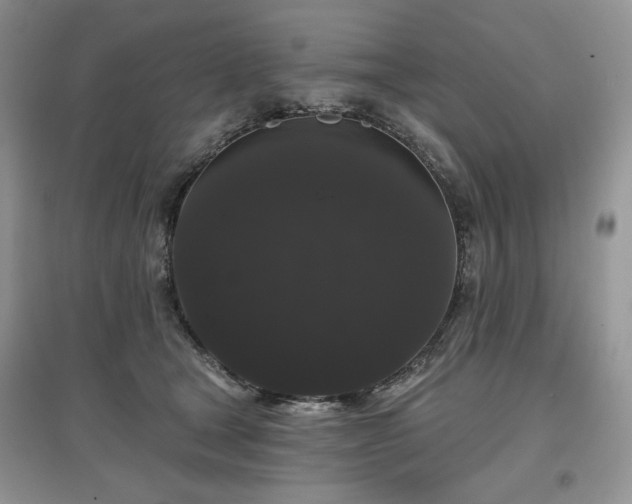 X0000097630465200803071534