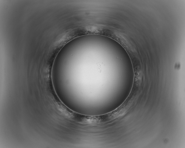 X0000097630466200803071534