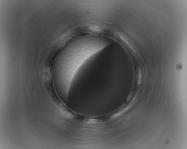 X0000097630467200803071534