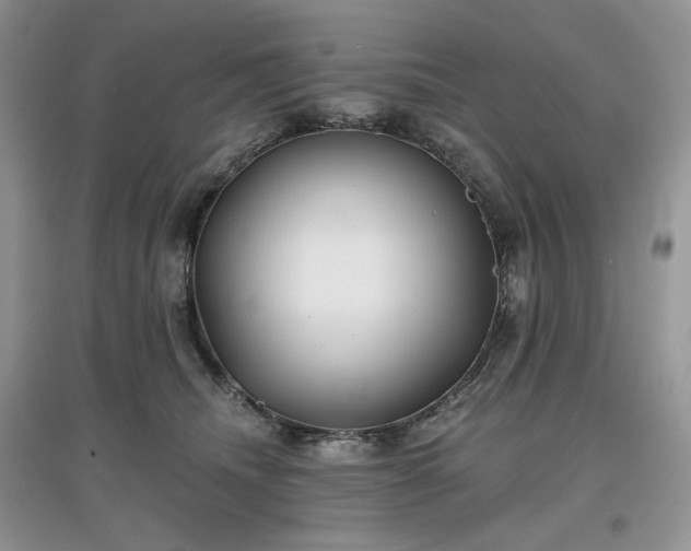 X0000097630468200803071534