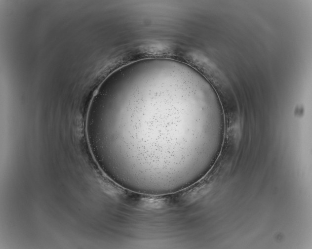 X0000097630469200803071534