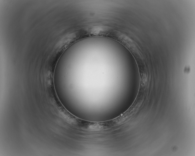 X0000097630470200803071534