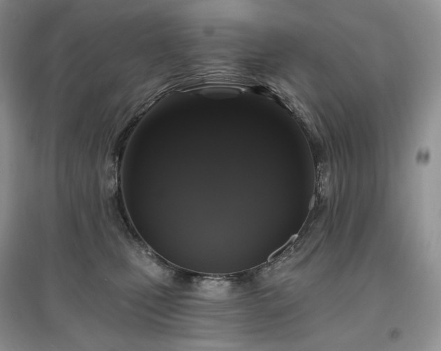 X0000097630471200803071535