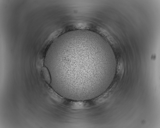 X0000097630473200803071535