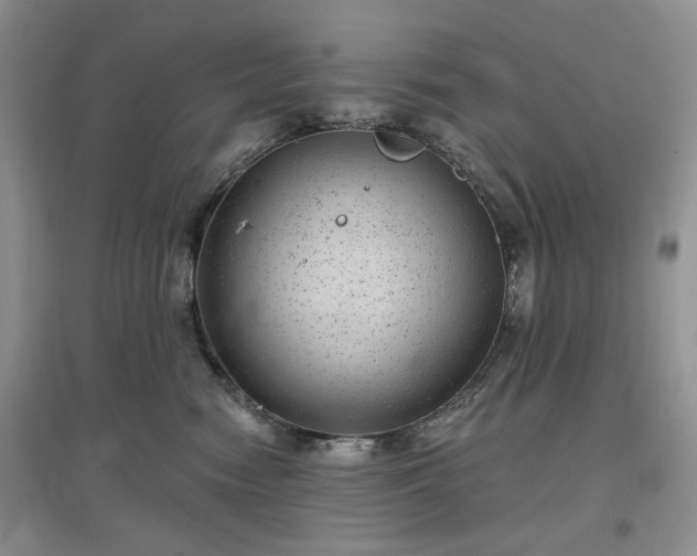 X0000097630474200803071535