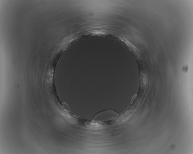 X0000097630475200803071535