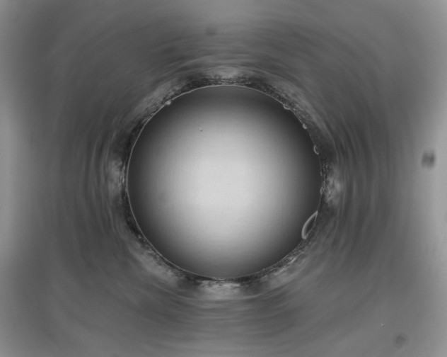 X0000097630476200803071535