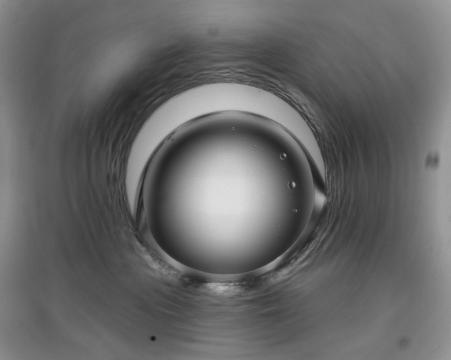 X0000097630477200803071535