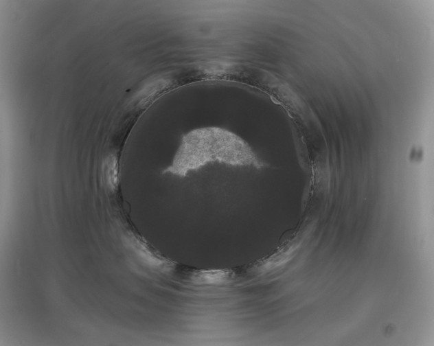 X0000097630479200803071535