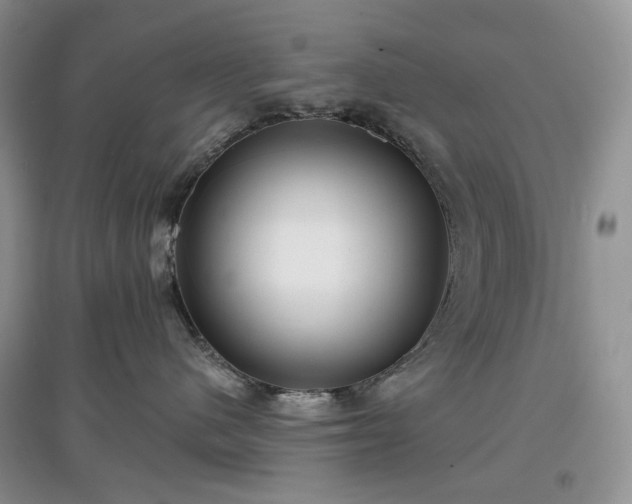 X0000097630480200803071535