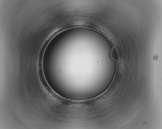 X0000097630482200803071534