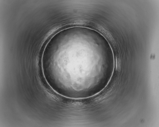 X0000097630483200803071534