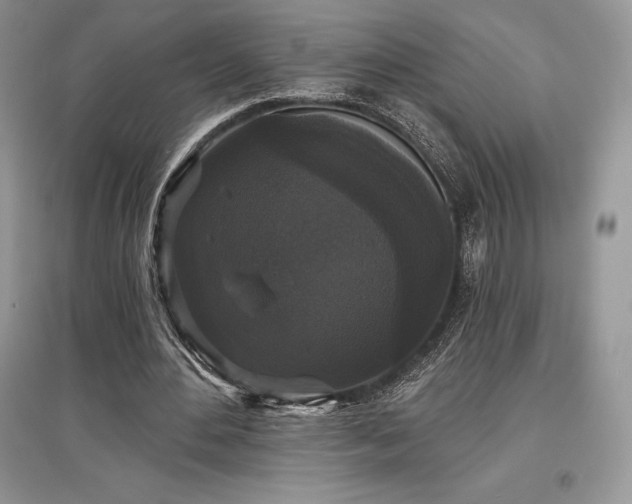 X0000097630484200803071534