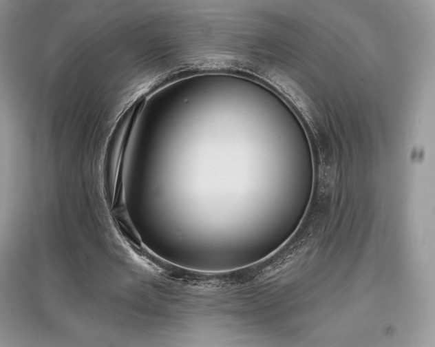 X0000097630485200803071534