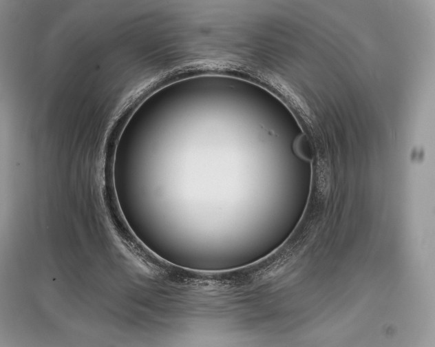 X0000097630486200803071534