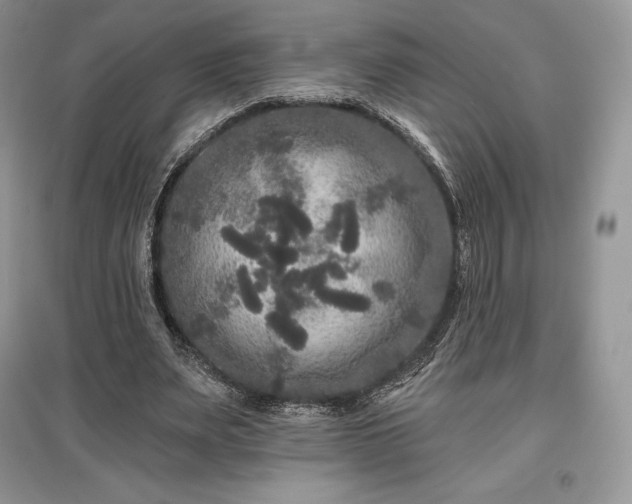 X0000097630487200803071534