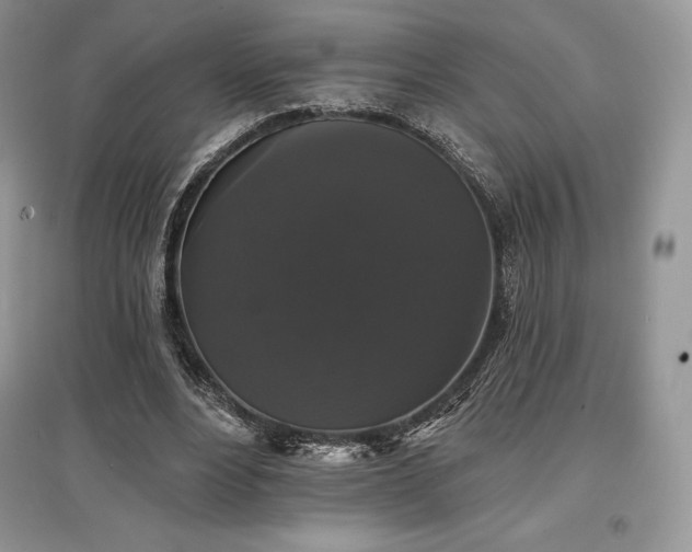 X0000097630488200803071534