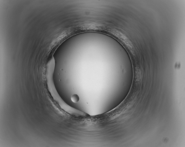 X0000097630489200803071534