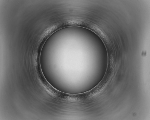 X0000097630490200803071534