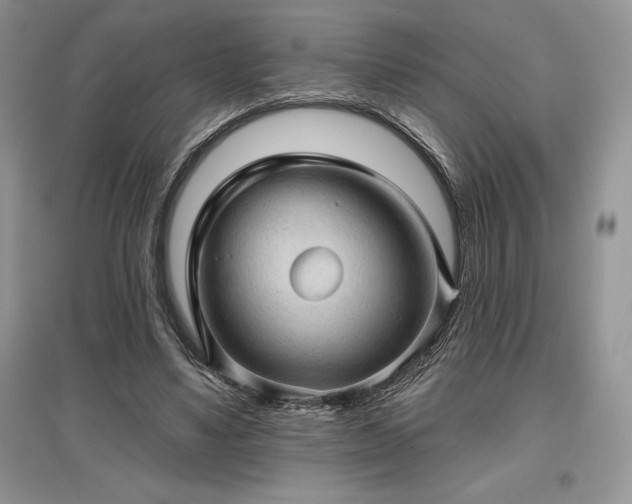 X0000097630491200803071534