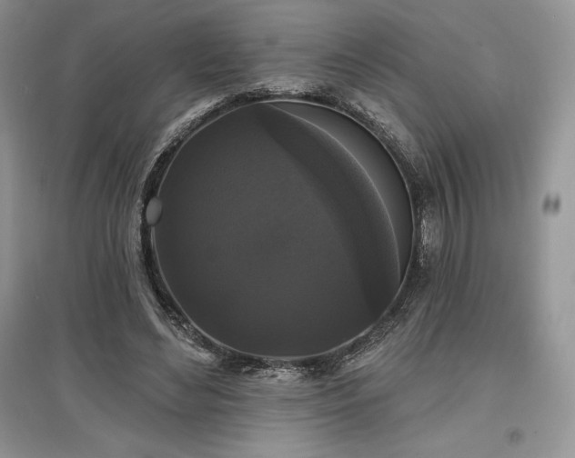 X0000097630492200803071534