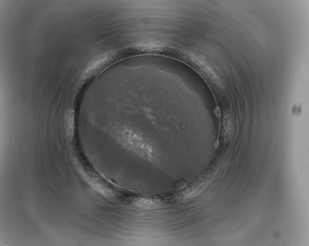 X0000097630494200803071534