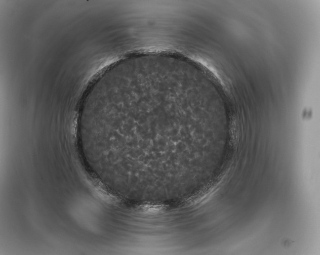 X0000097630495200803071534