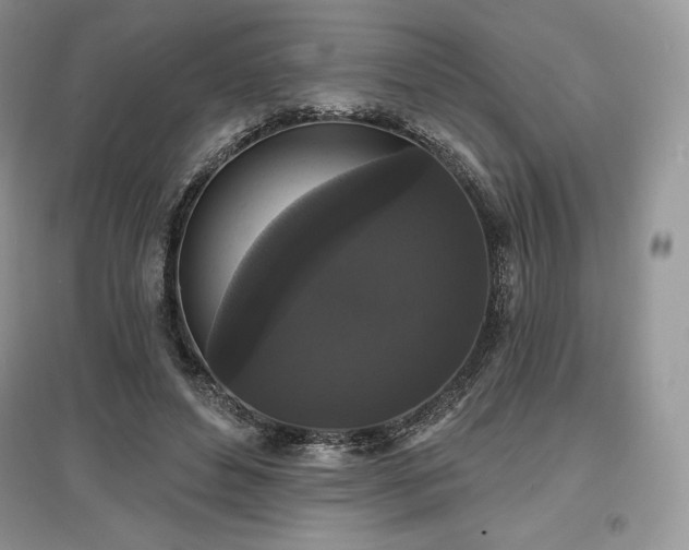 X0000097630496200803071534