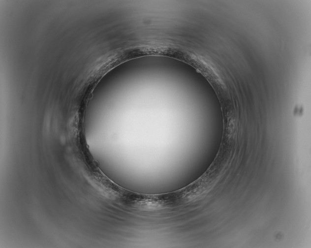 X0000097630498200803071534