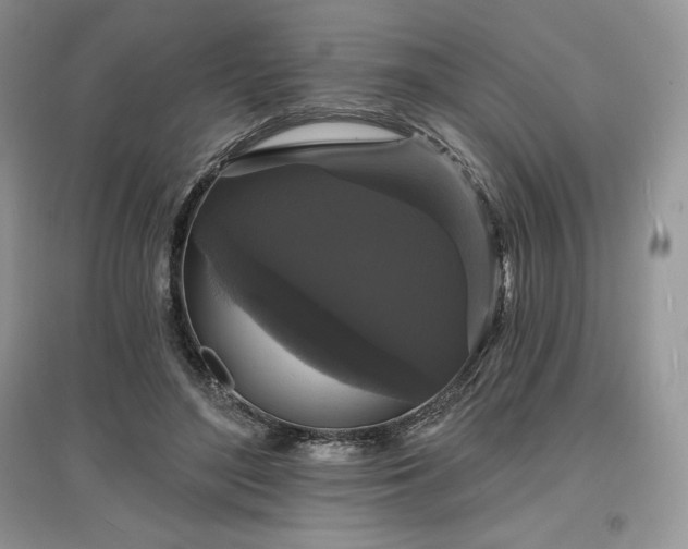 X0000097630500200803071534