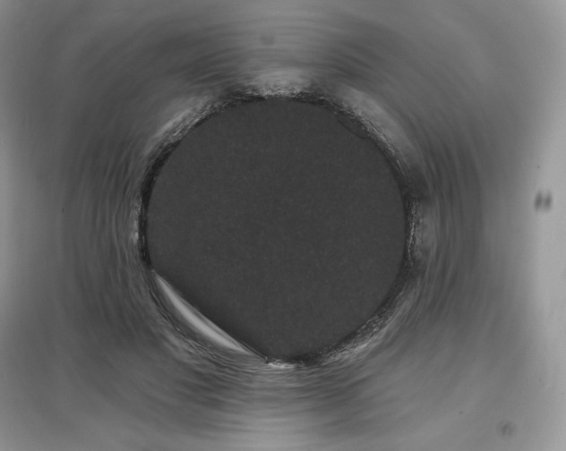 X0000097630501200803071534