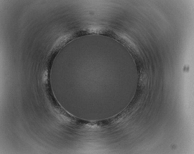 X0000097630502200803071534