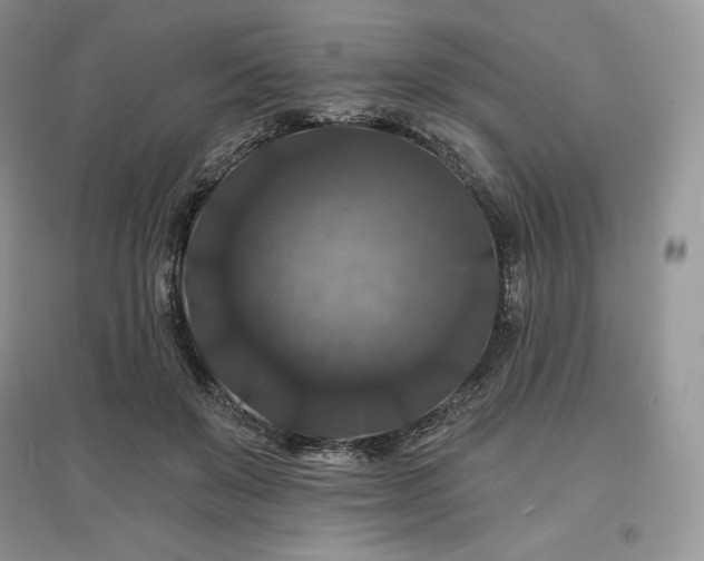 X0000097630503200803071534