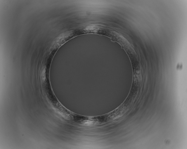 X0000097630504200803071534