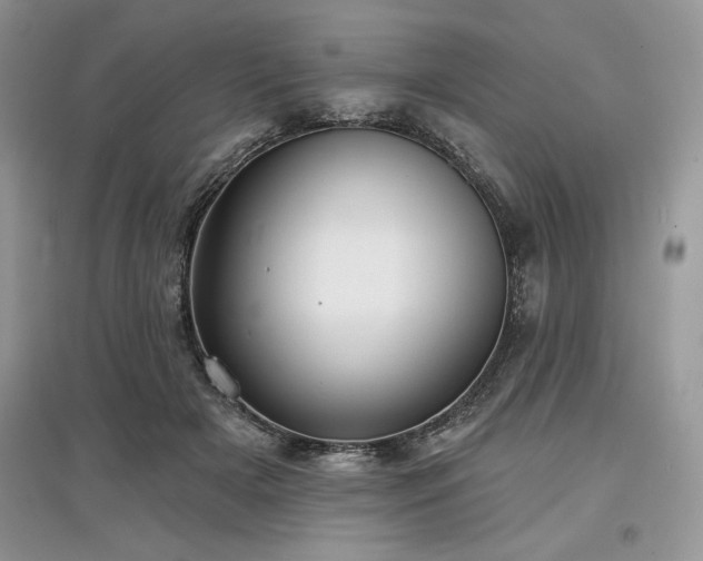 X0000097630505200803071534